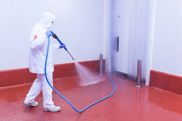 Best Sidewalk and Walkway Pressure Cleaning in Seymour, WI