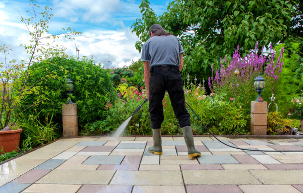 Best Pool Deck Cleaning in Seymour, WI